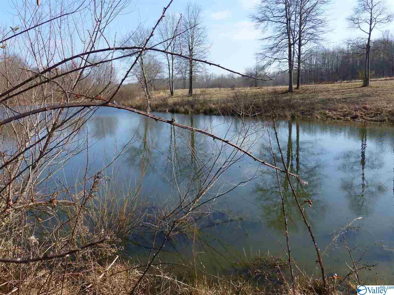 0 County Road 144 - Photo 1