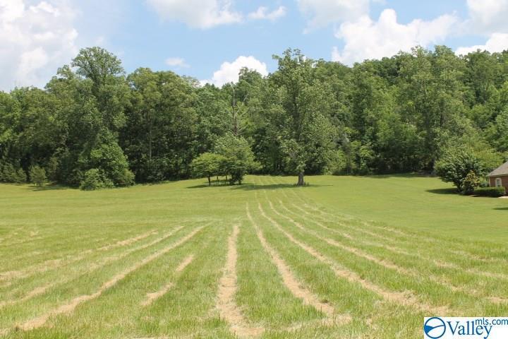 County Road 201 - Photo 1