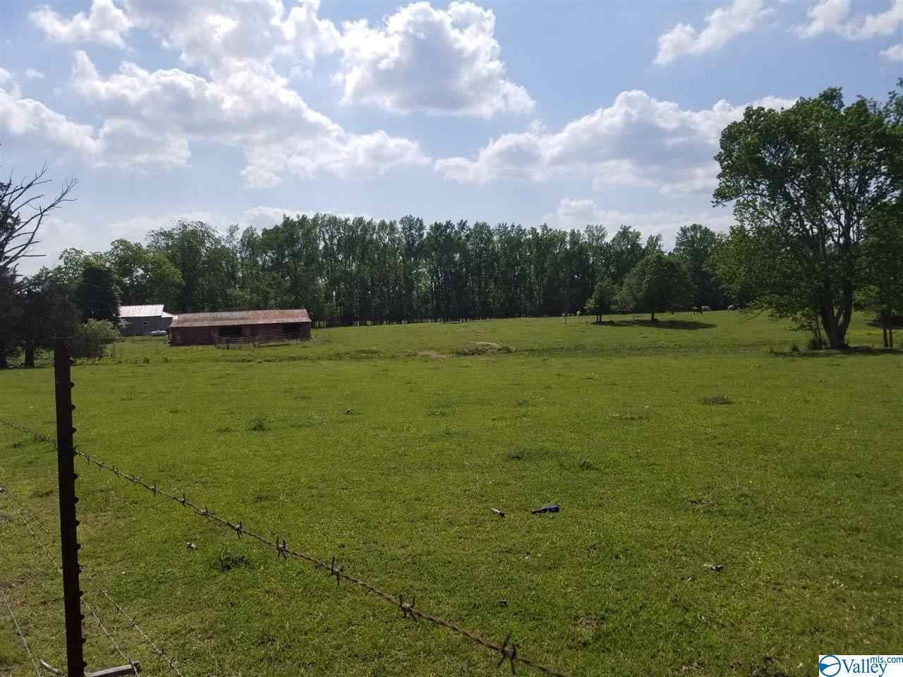 12576 Alabama Hwy 40 - Photo 1
