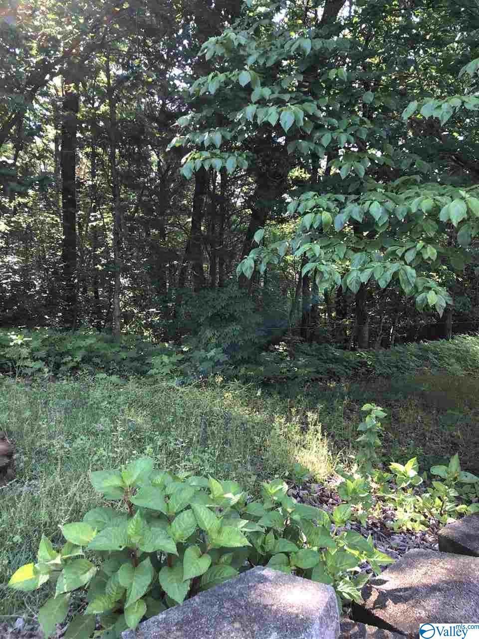 7810 Foxfire Drive - Photo 1