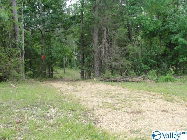 1704 Briarcliff Road - Photo 1