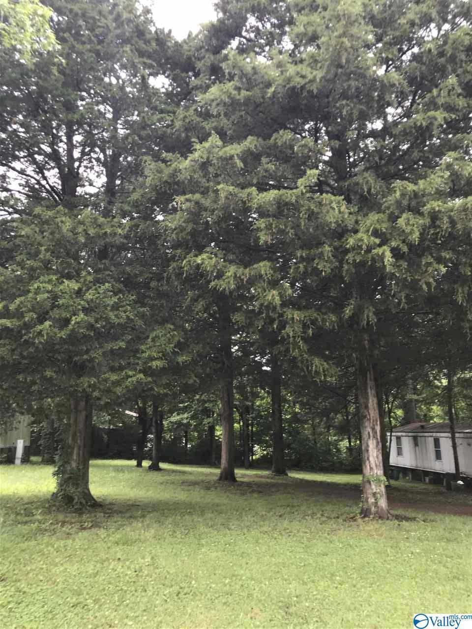343 Manley Road - Photo 1