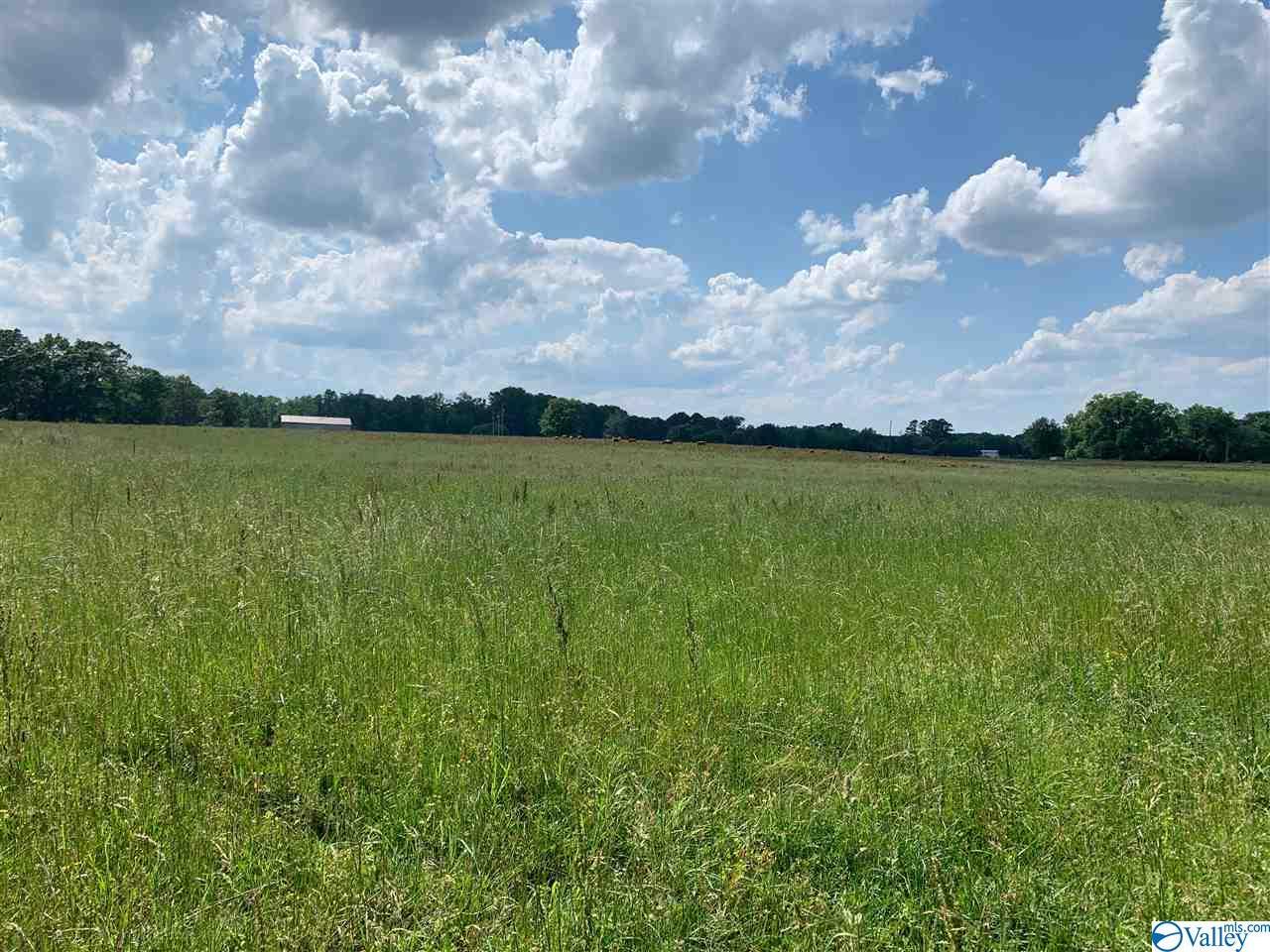 404 Bayside Lane - Photo 1