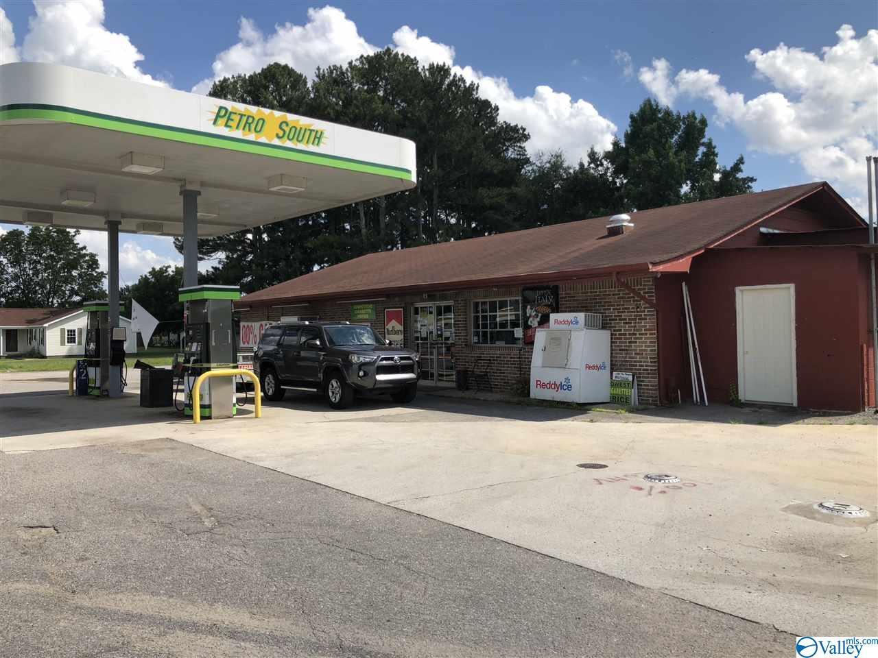18461 Alabama Highway 99 - Photo 1