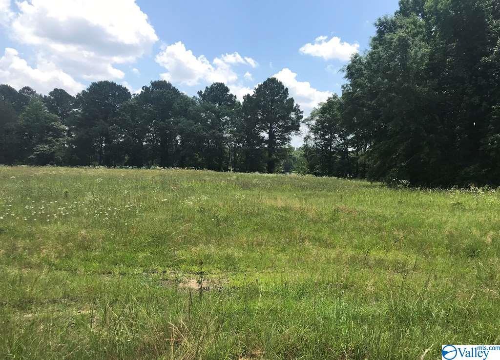 County Road 580 - Photo 1
