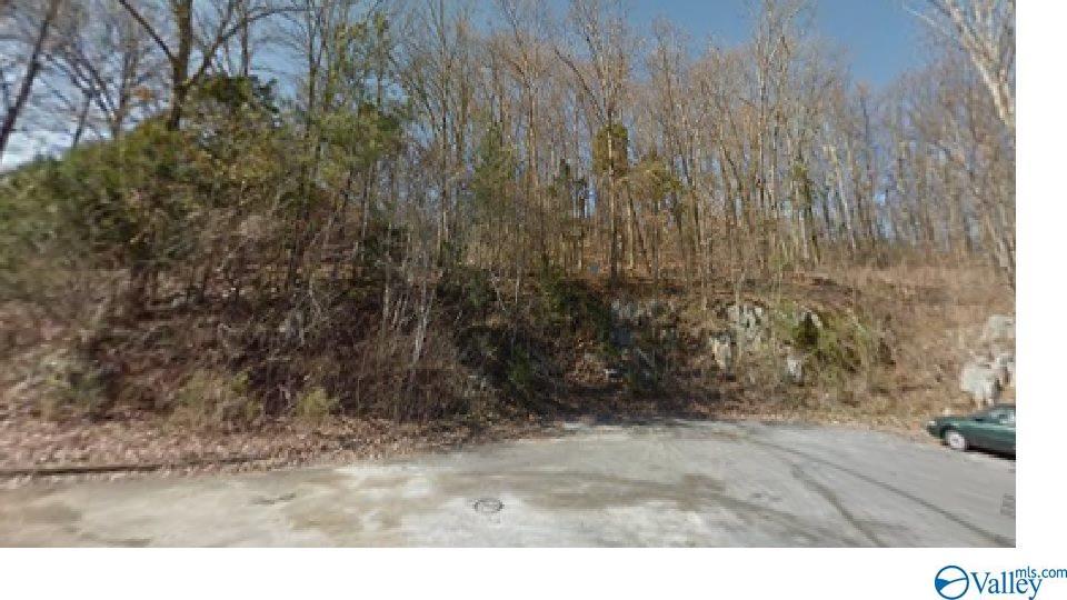 10015 Windy Wood Drive - Photo 1