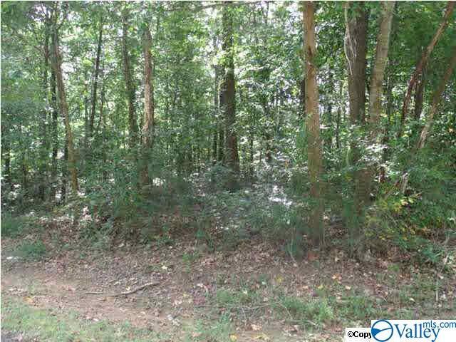 LOT 19 & PAR 18 Martha Lane - Photo 1