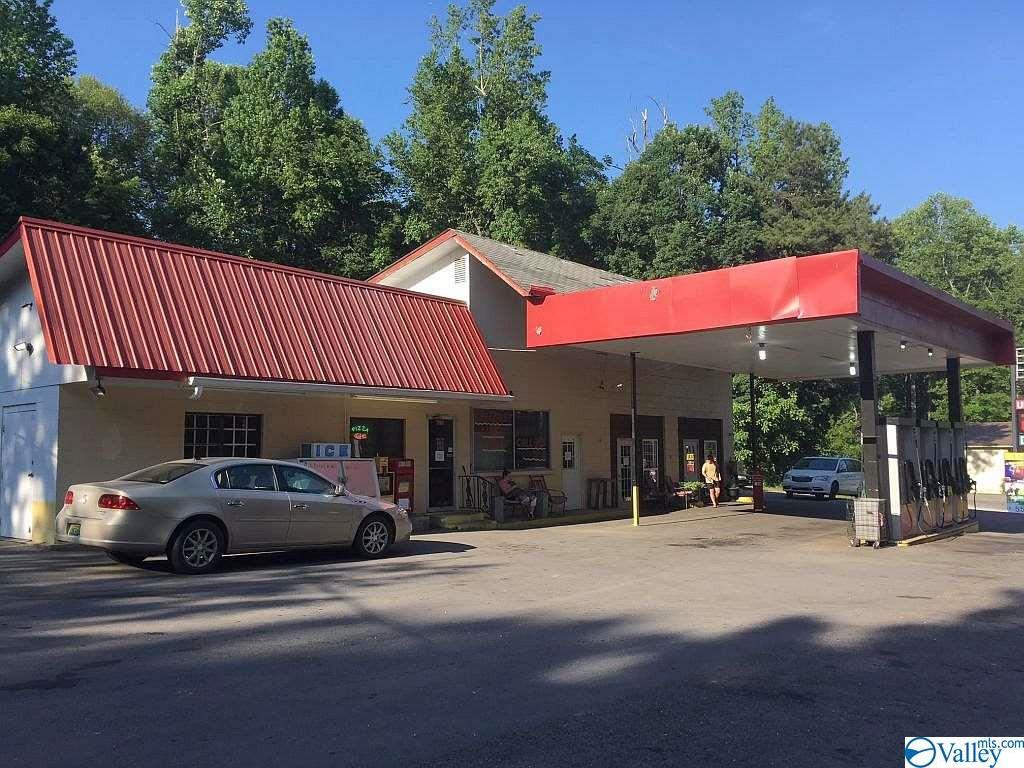 6010 Alabama Hwy 117 - Photo 1
