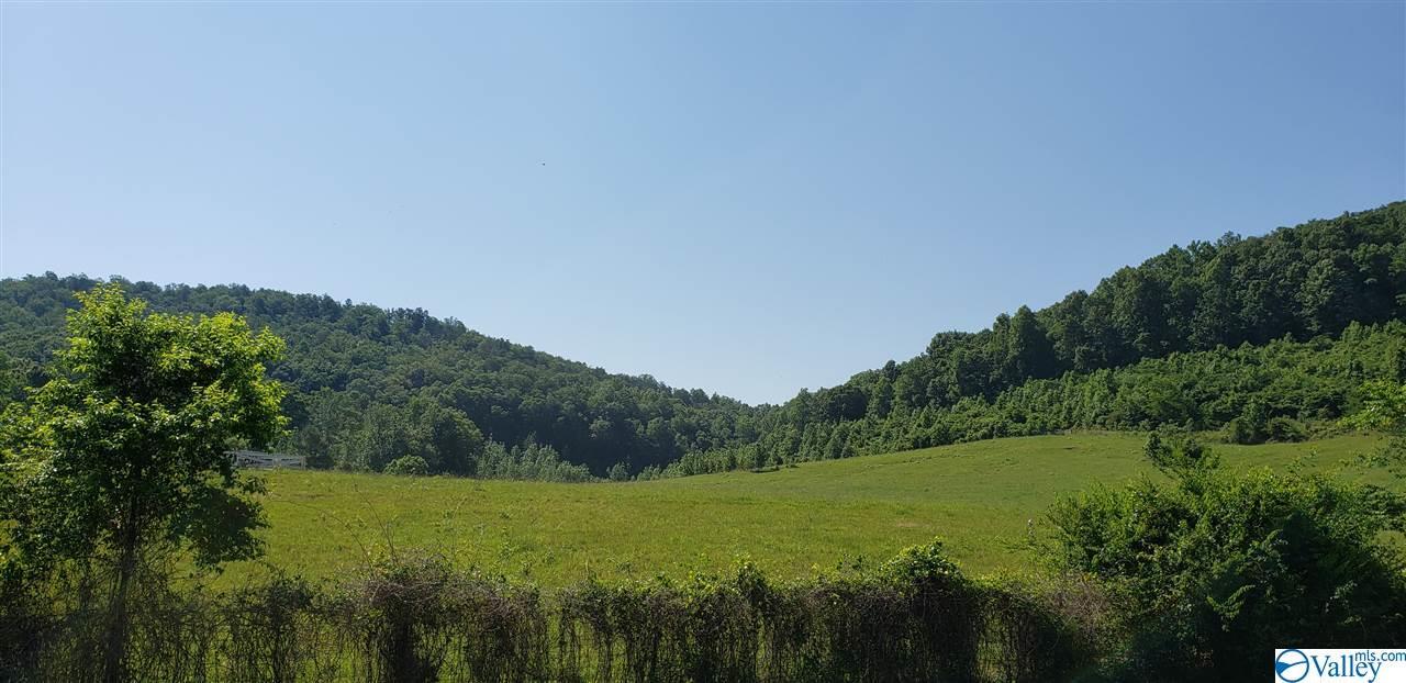 County Road 41 - Photo 1