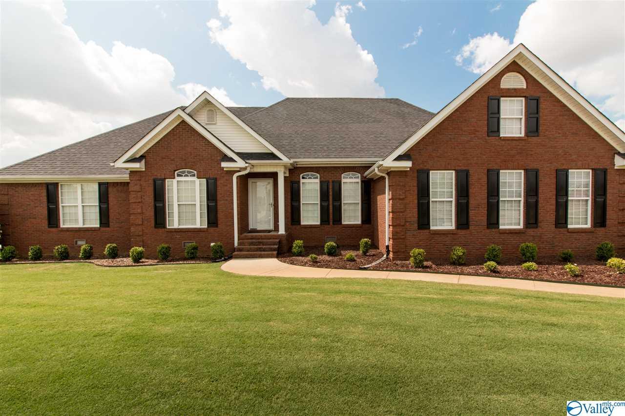 24611 Lisa Drive - Photo 1