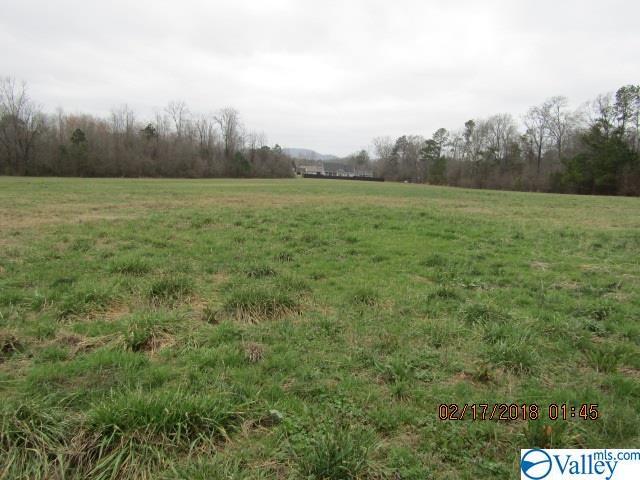 00 Powell Street - Photo 1