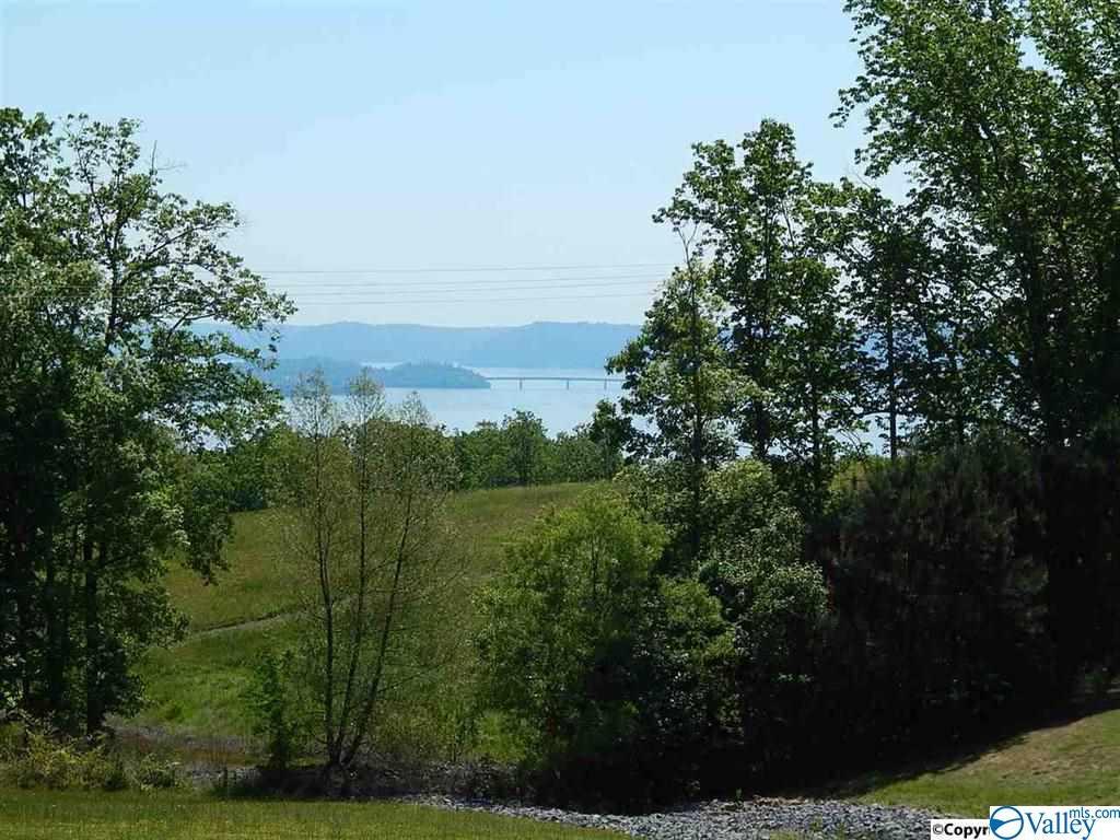 Lot 6 Legendary Drive - Photo 1