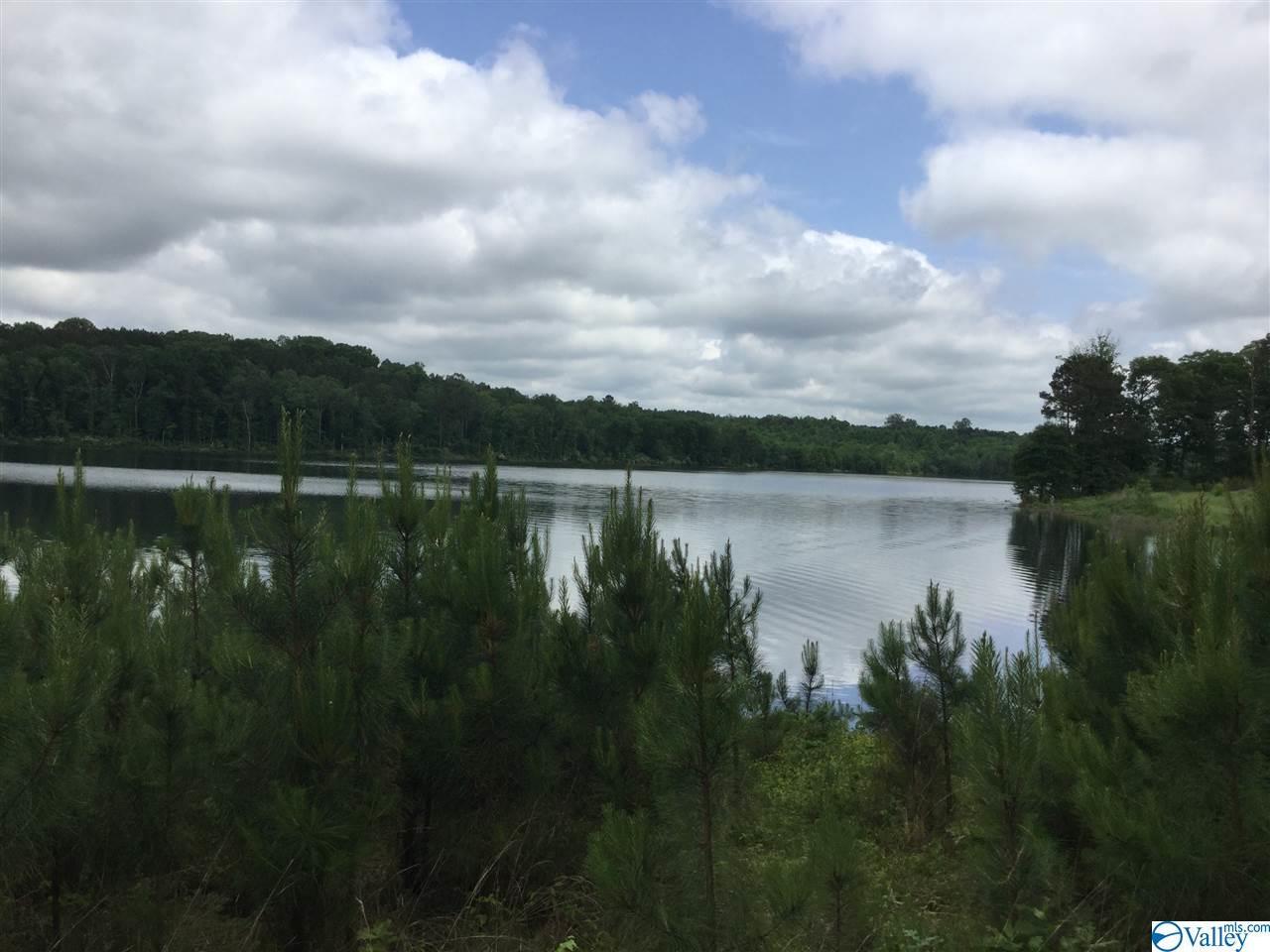 1738 County Road 1651 - Photo 1
