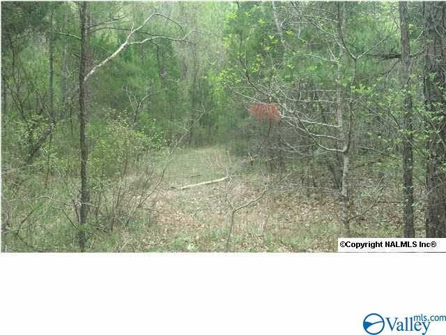 0 Mud Tavern Road - Photo 1