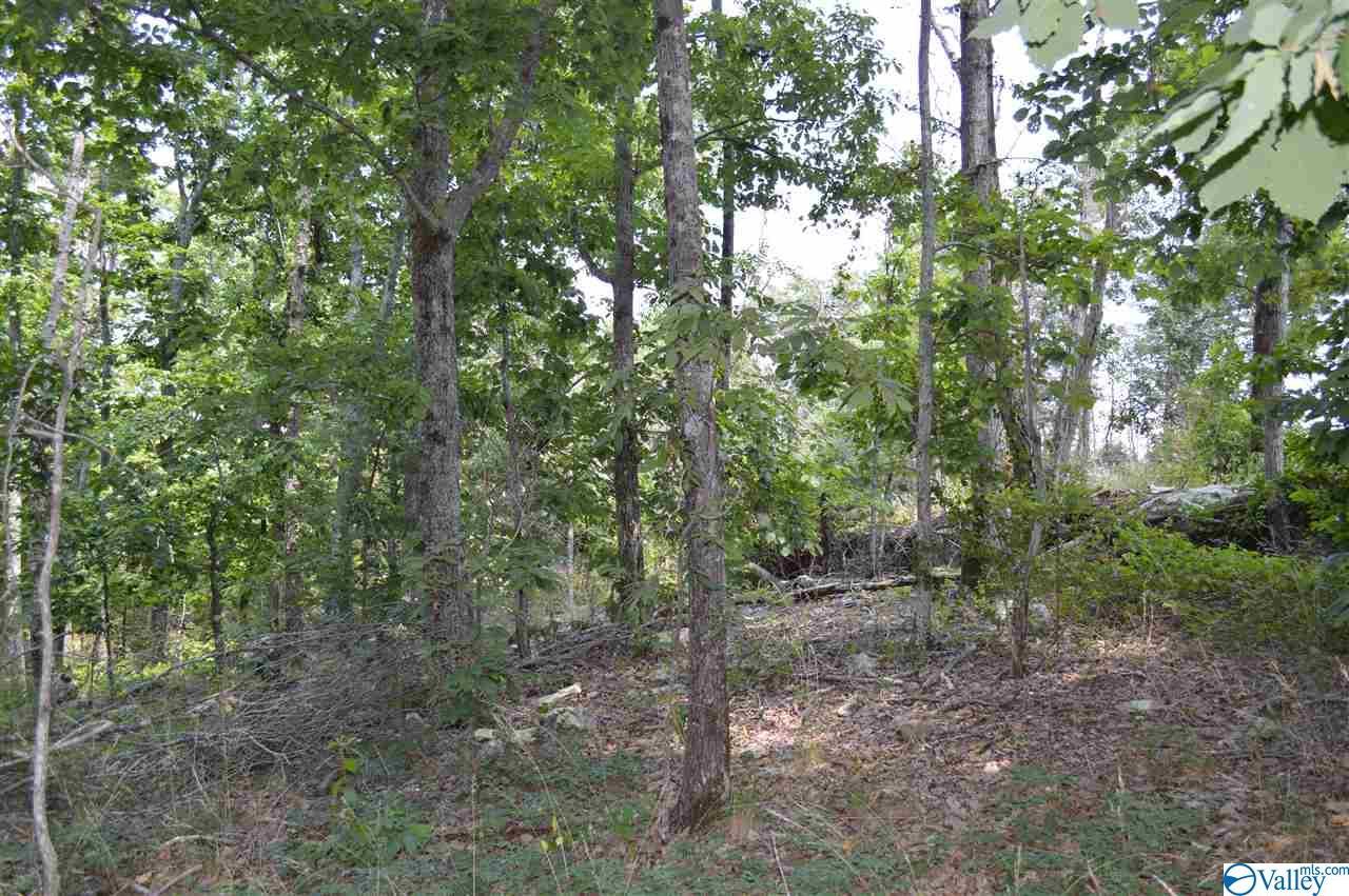LOT 8 Scenic Avenue - Photo 1