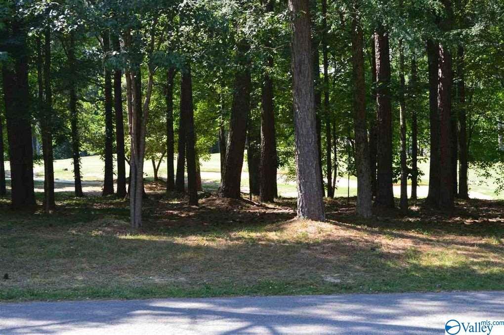 0 Highlands Drive - Photo 1