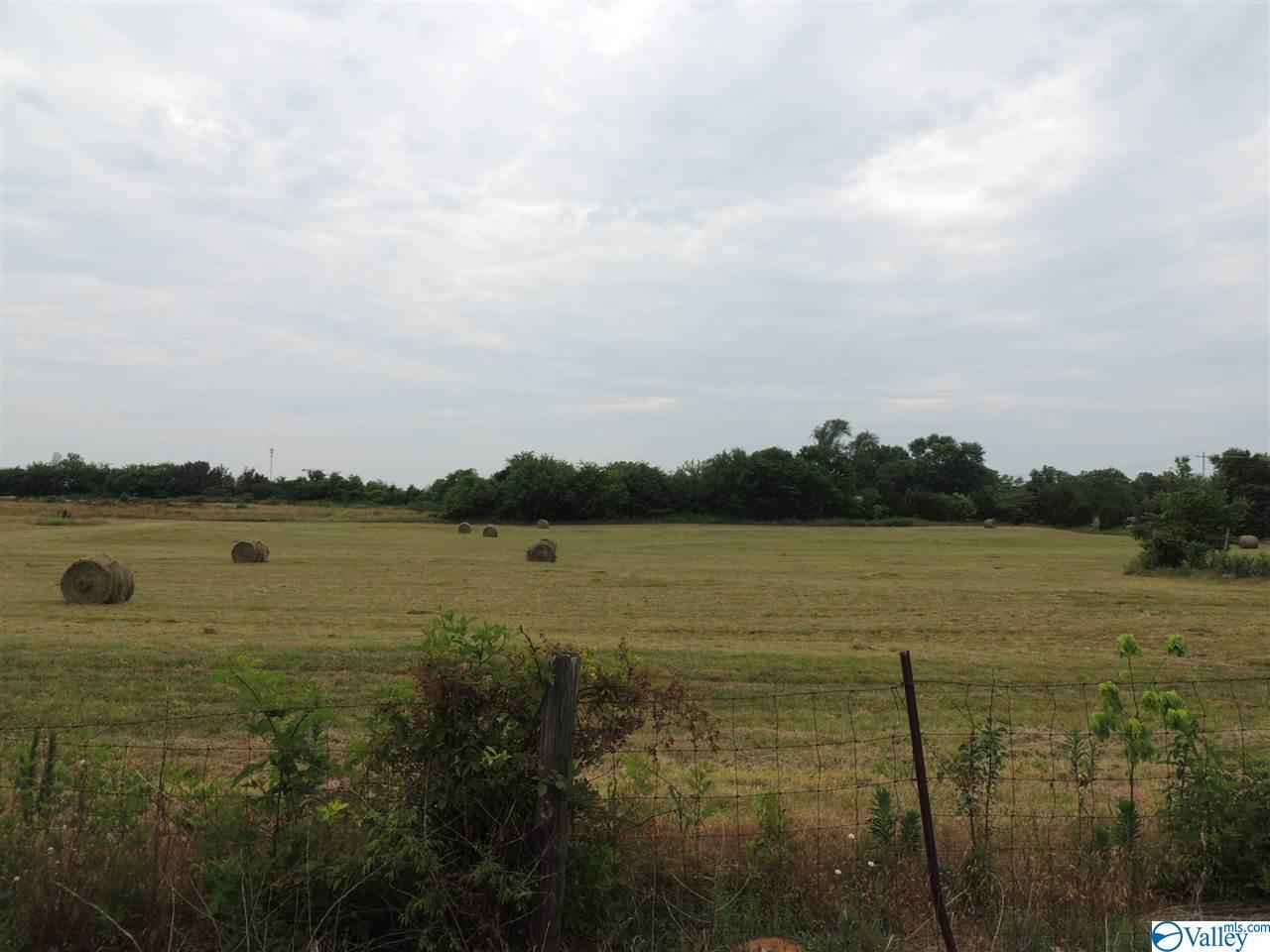 28596 Capshaw Road - Photo 1