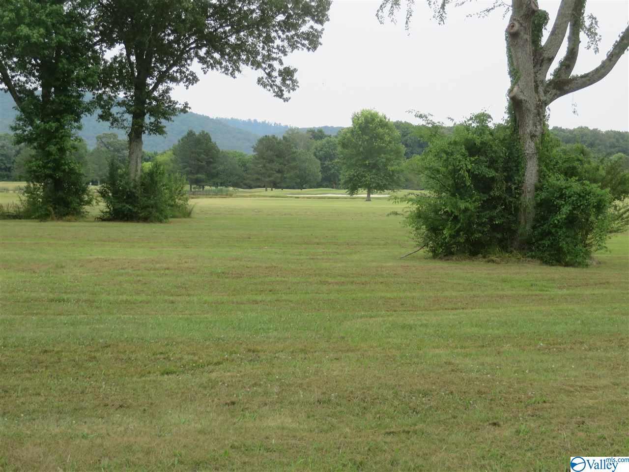 Lot 27 Plantation Pointe Road - Photo 1