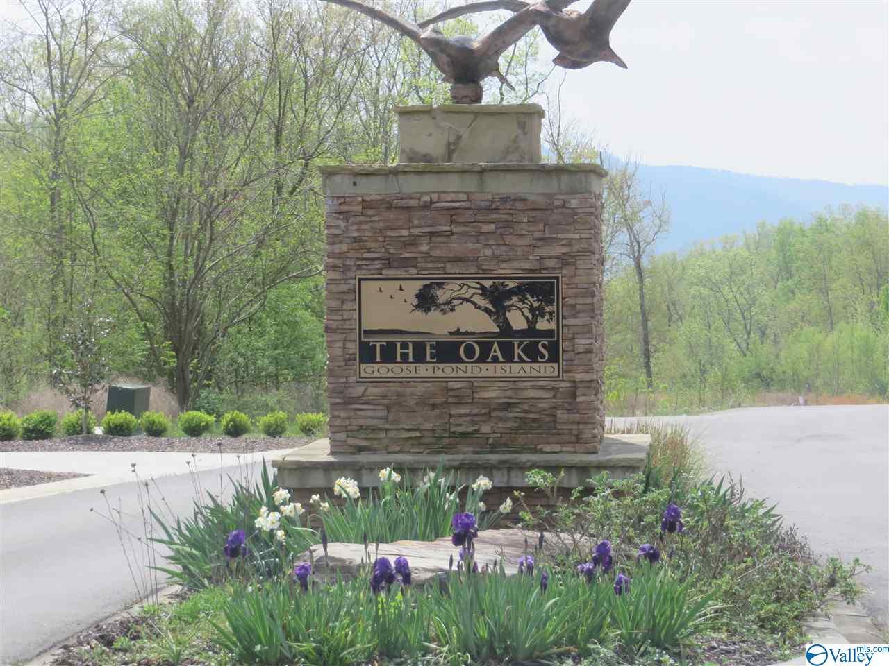 219 Redstone Drive - Photo 1