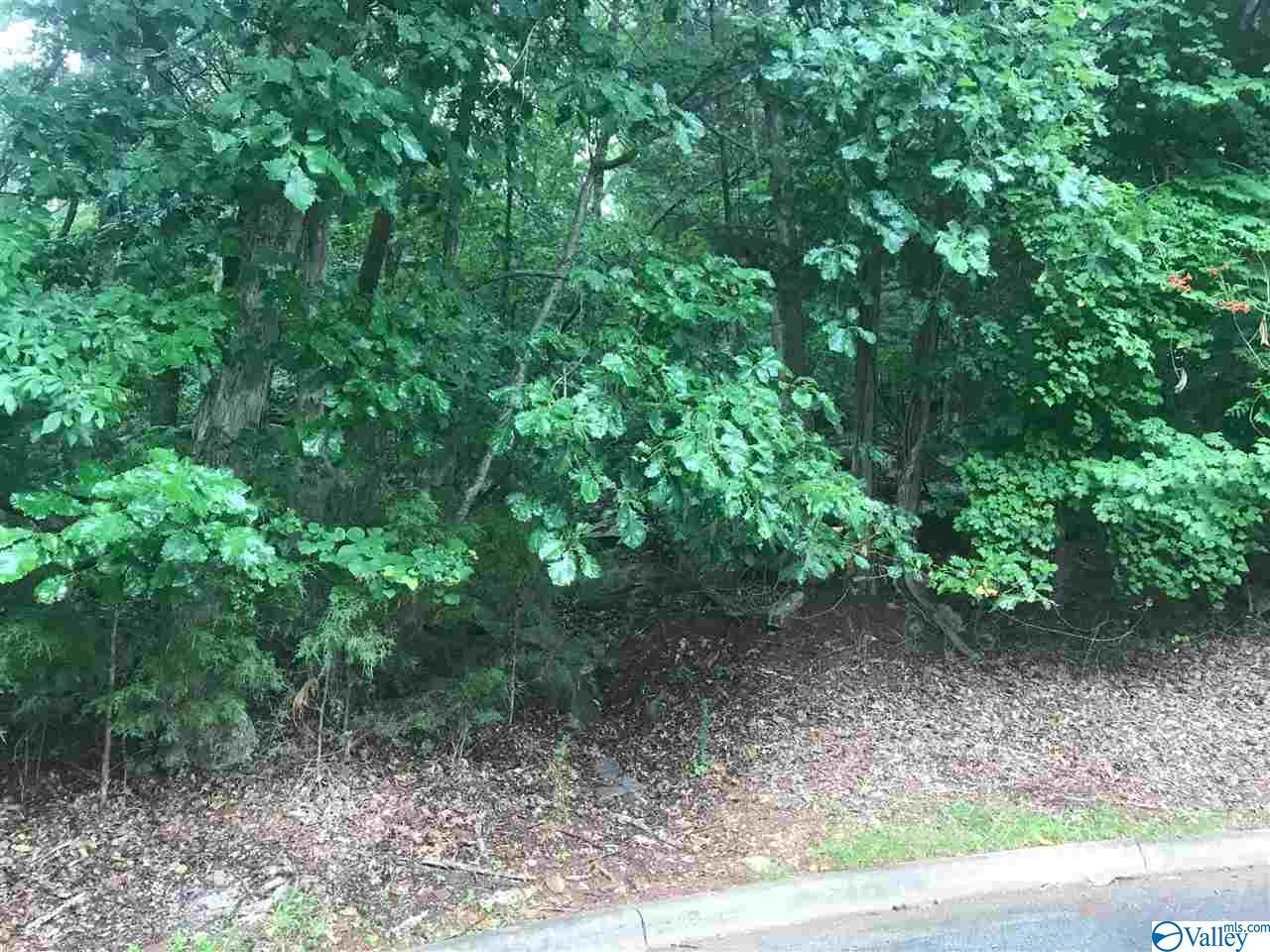 9029 Sugar Tree Trail - Photo 1