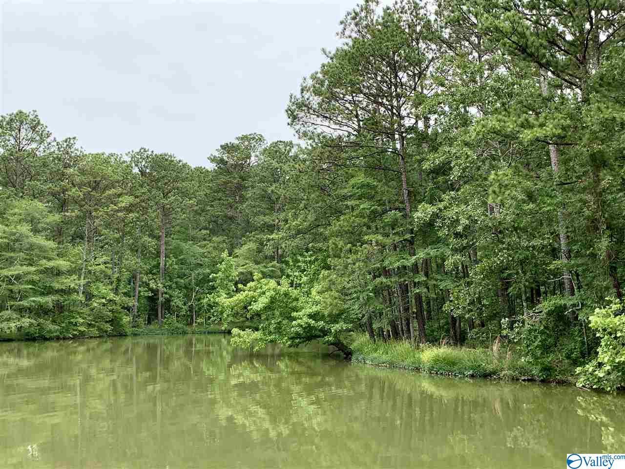 County Road 707 - Photo 1