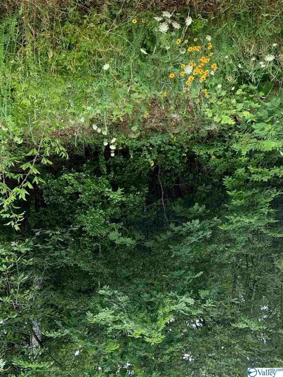 00 County Road 597 - Photo 1