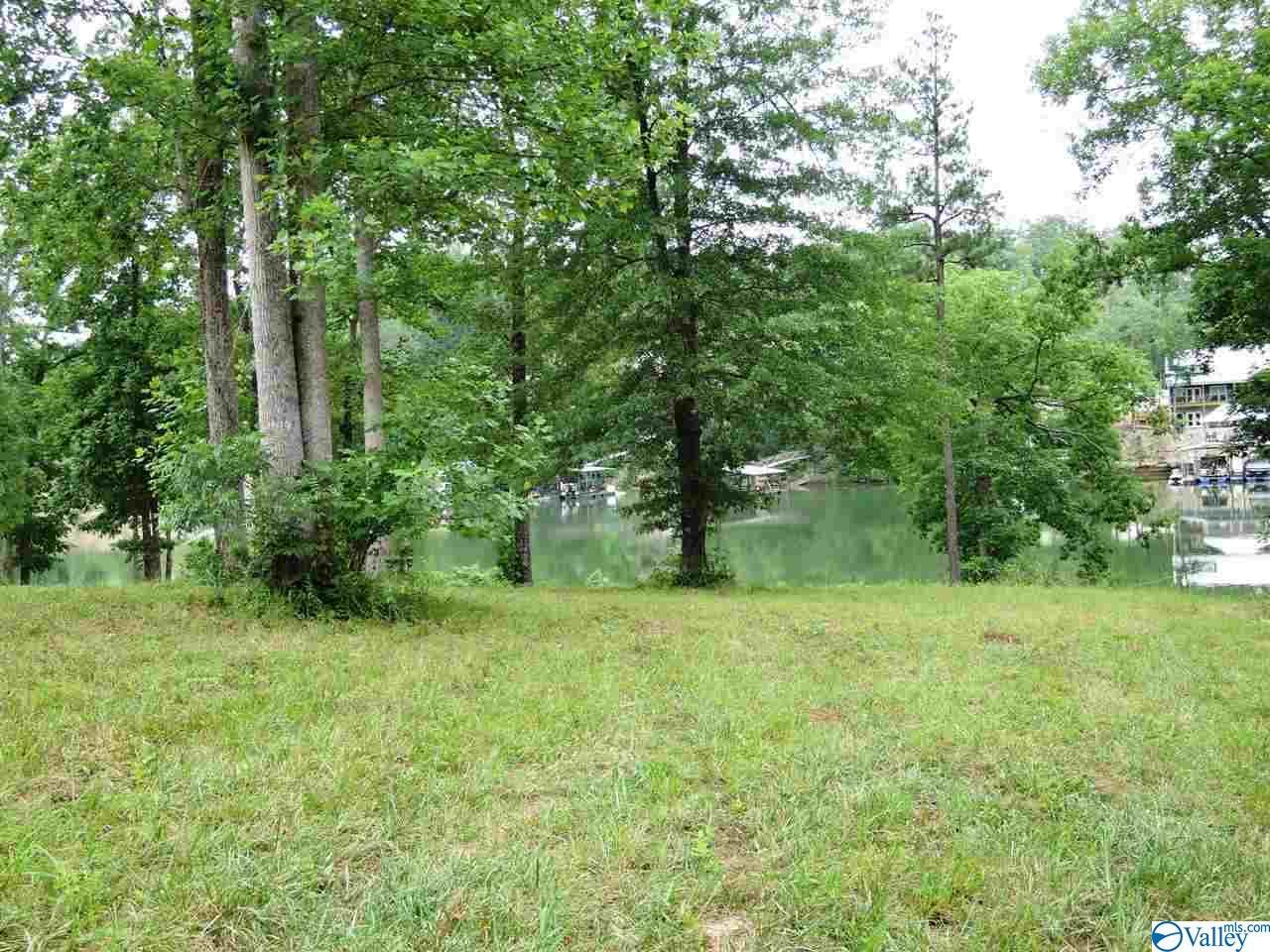 84 Bullbranch Drive - Photo 1