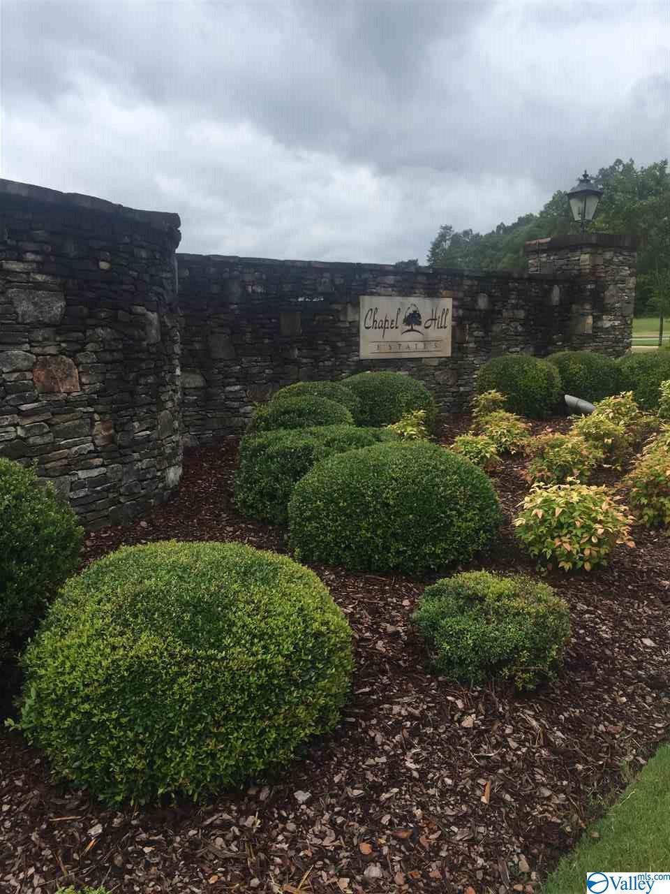2913 Cedar Creek - Photo 1