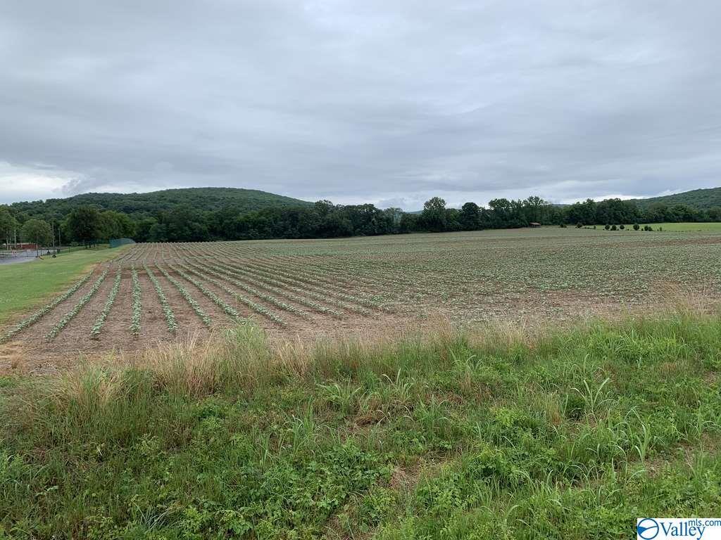 0 Mountain Fork Road - Photo 1
