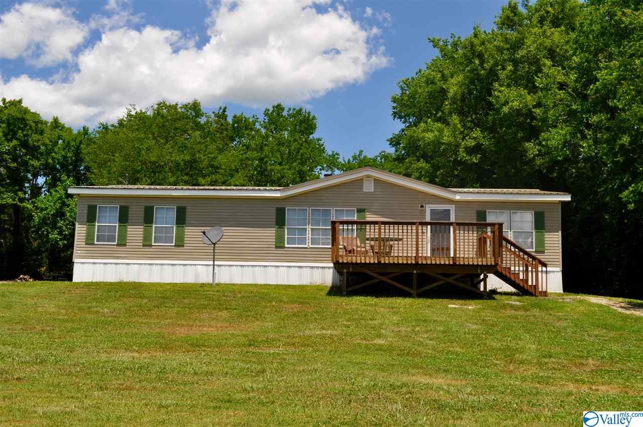 401 Old Elkton Pike - Photo 1