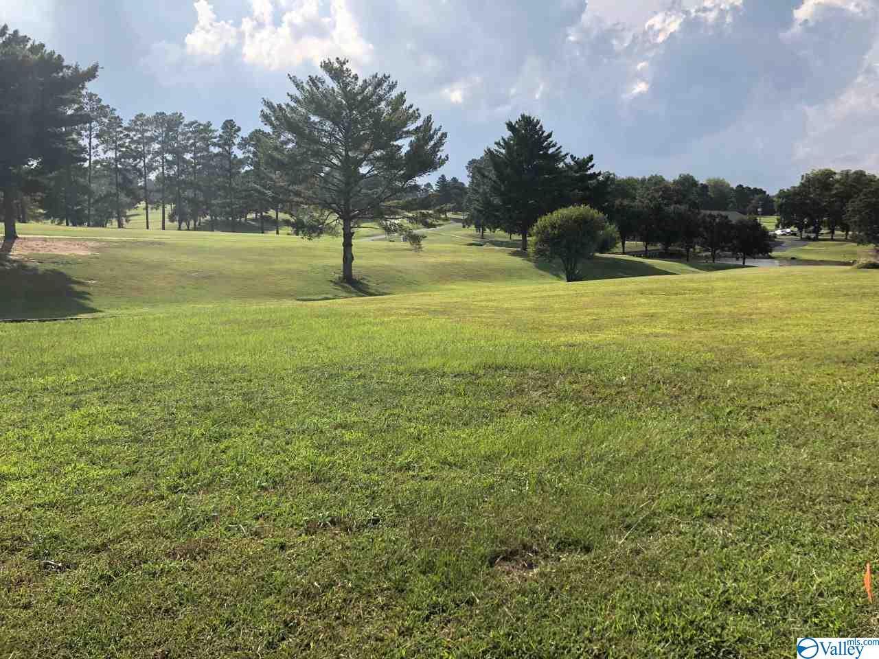 0 Muirfield Drive - Photo 1