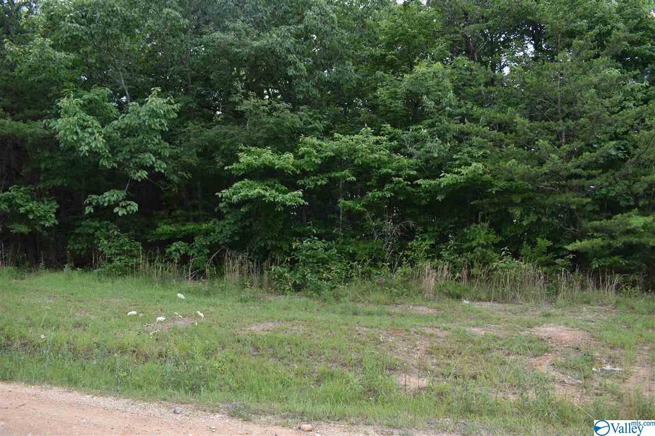 lot 30 County Road 1025 - Photo 1