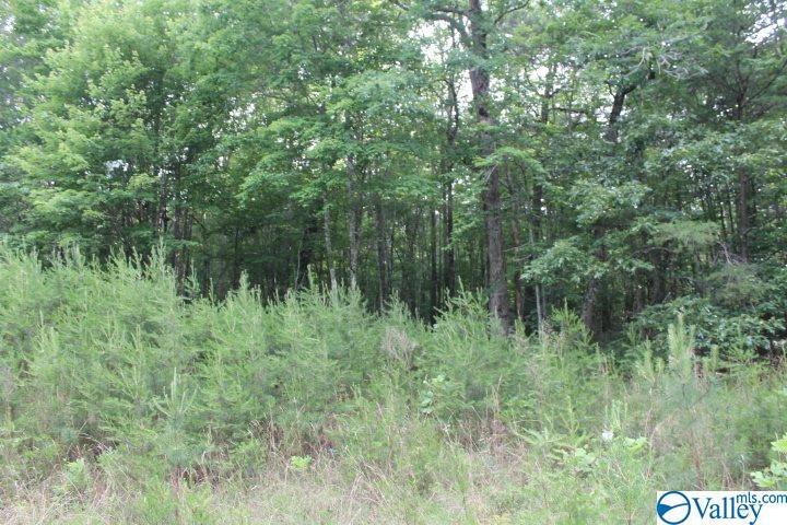 County Road 106 - Photo 1