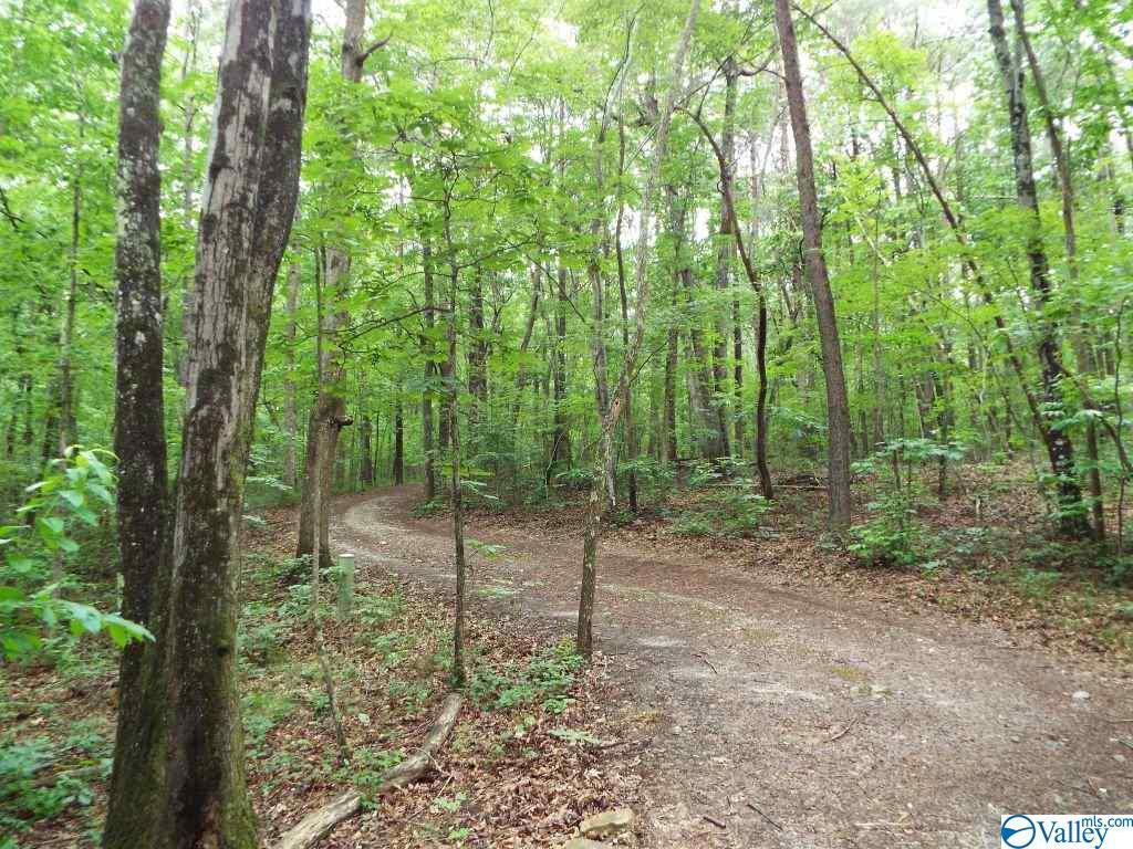 341 County Road 633 - Photo 1