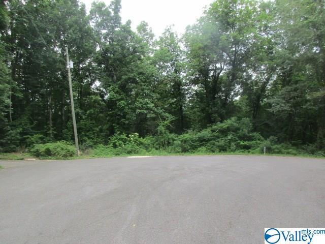 0 Riverview Lane - Photo 1
