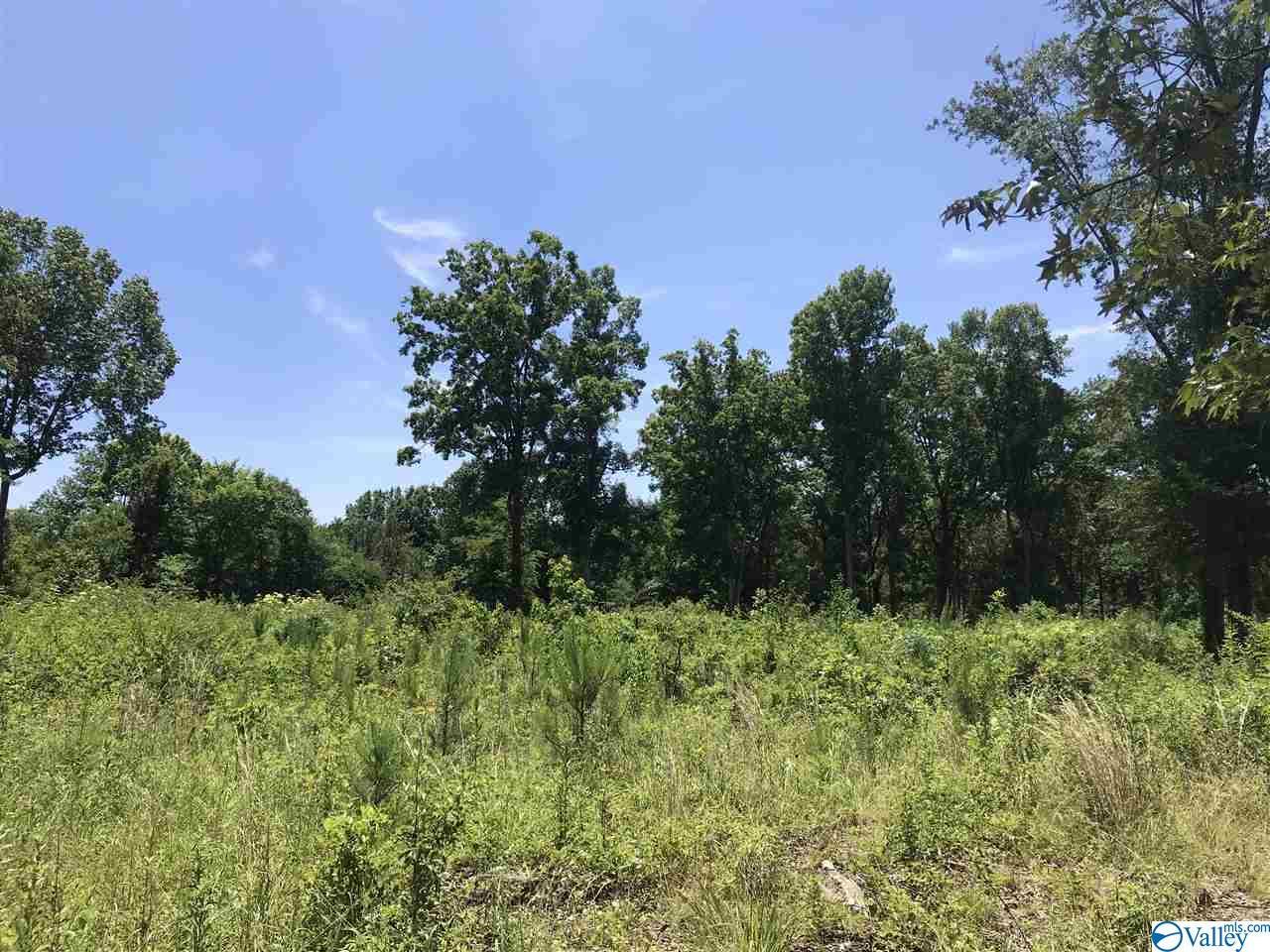 212 Rose Road - Photo 1