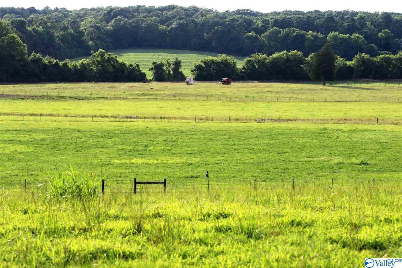 2510 Kirby Bridge Road, Decatur, AL 35603 (MLS 1121043) MarMac Real