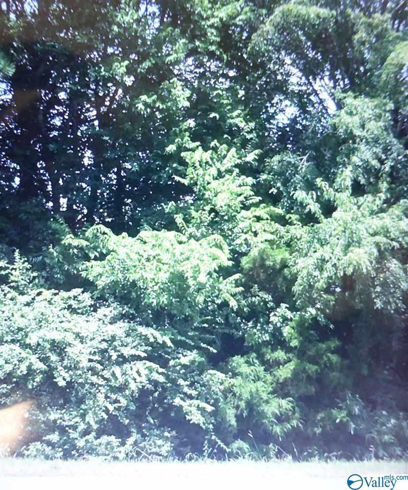 000 Hwy 251 - Photo 1