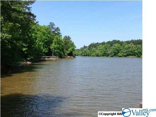LOT 17 County Road 620 - Photo 1