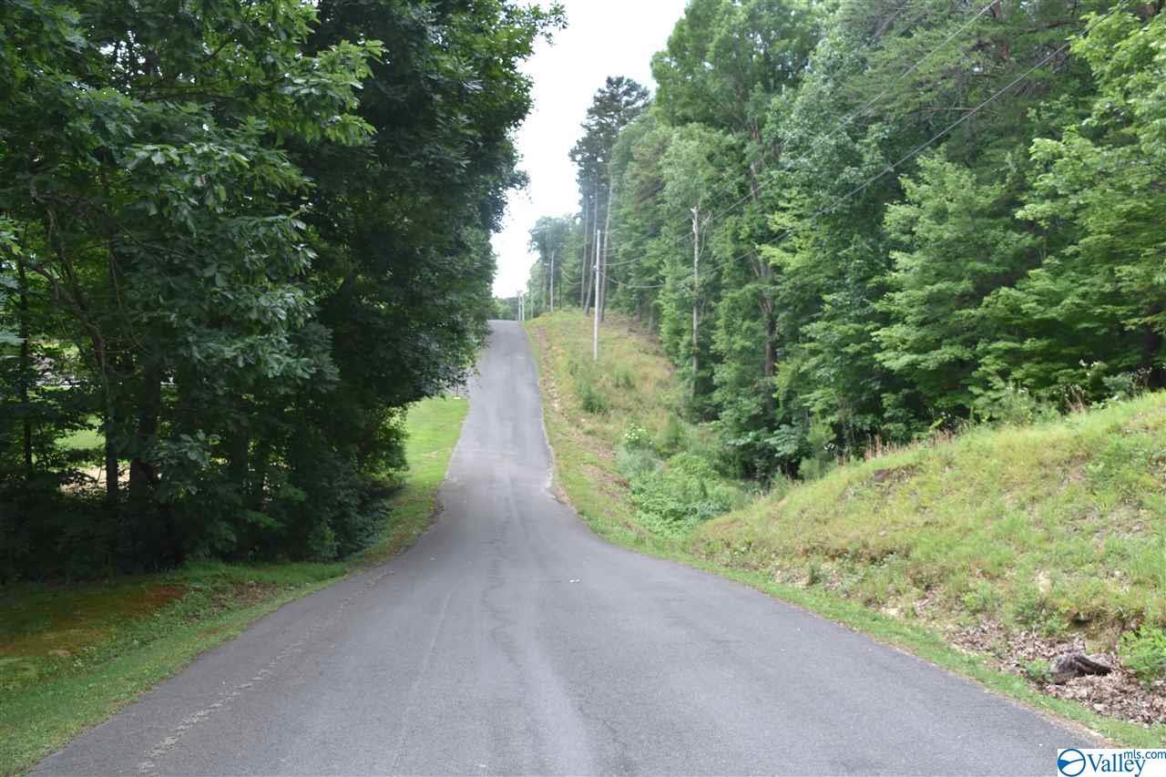 L2 Lynn Drive - Photo 1