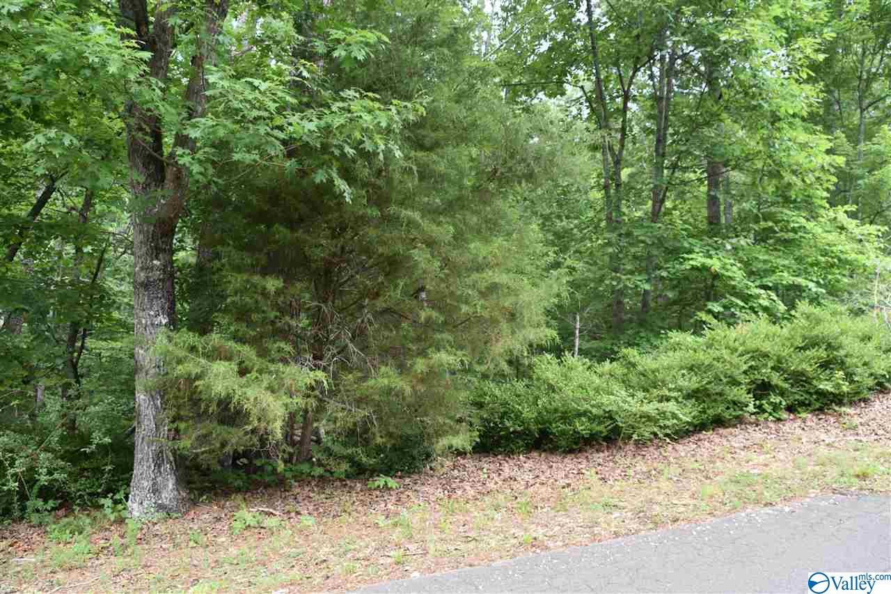 1 Lynn Drive - Photo 1