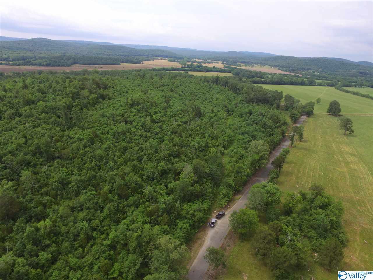 0 County Road 68 - Photo 1