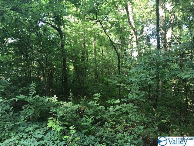 0 Carter Road - Photo 1