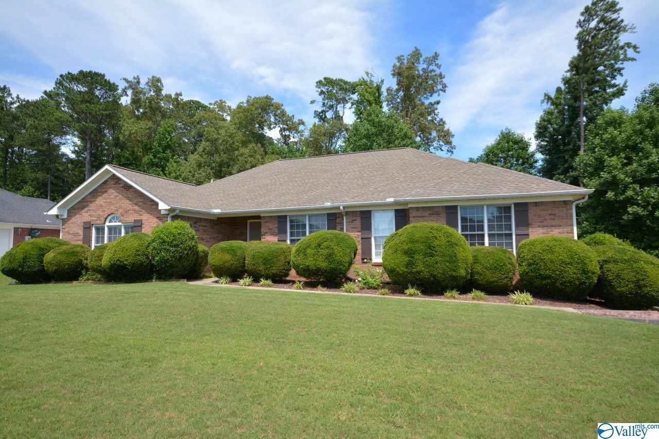 248 Vine Cliff Drive - Photo 1
