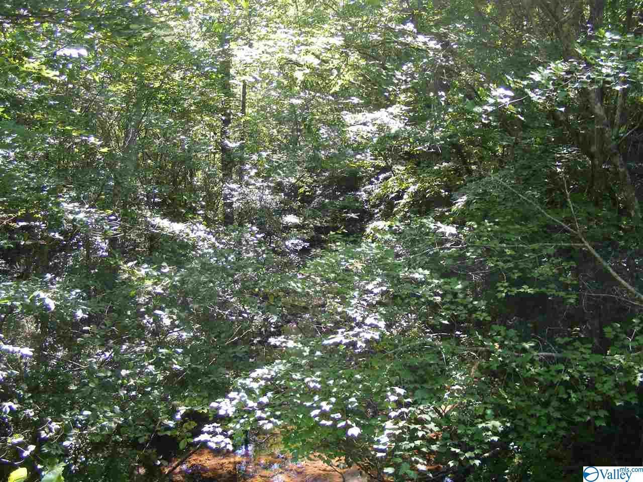300 County Road 106 - Photo 1