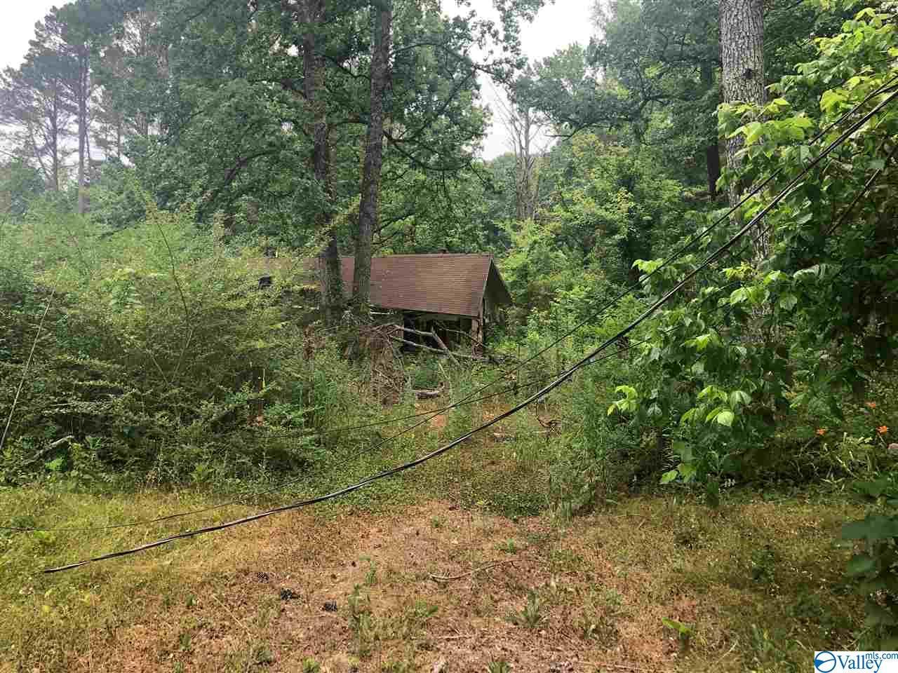 295 Whitaker Drive - Photo 1