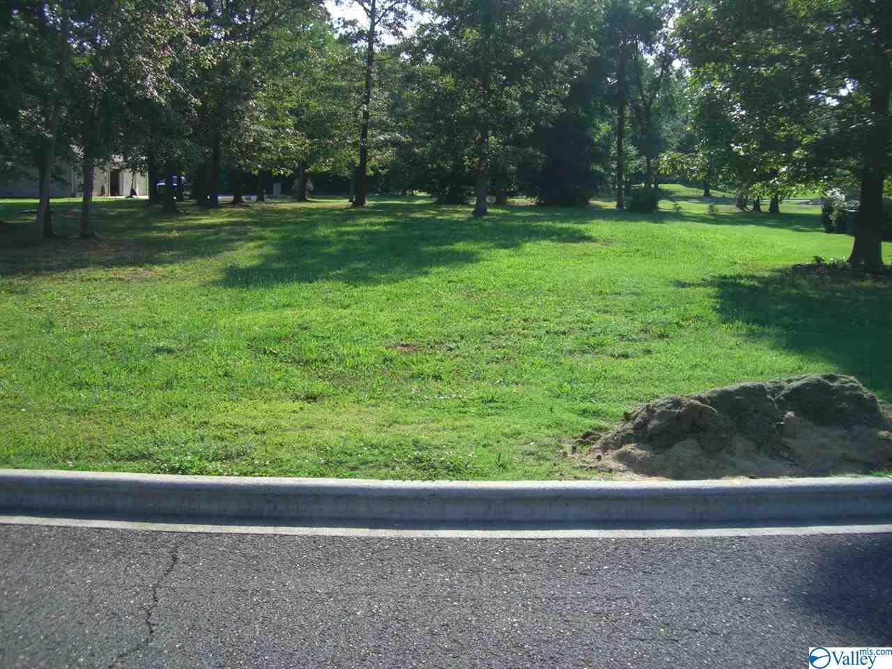 Lot 14 Wisteria Way - Photo 1
