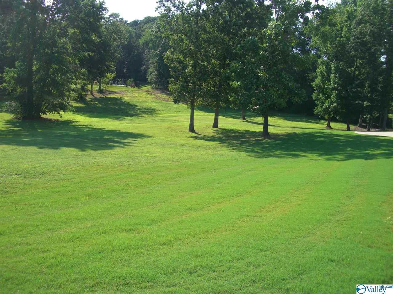 Lot 18 Wisteria Way - Photo 1