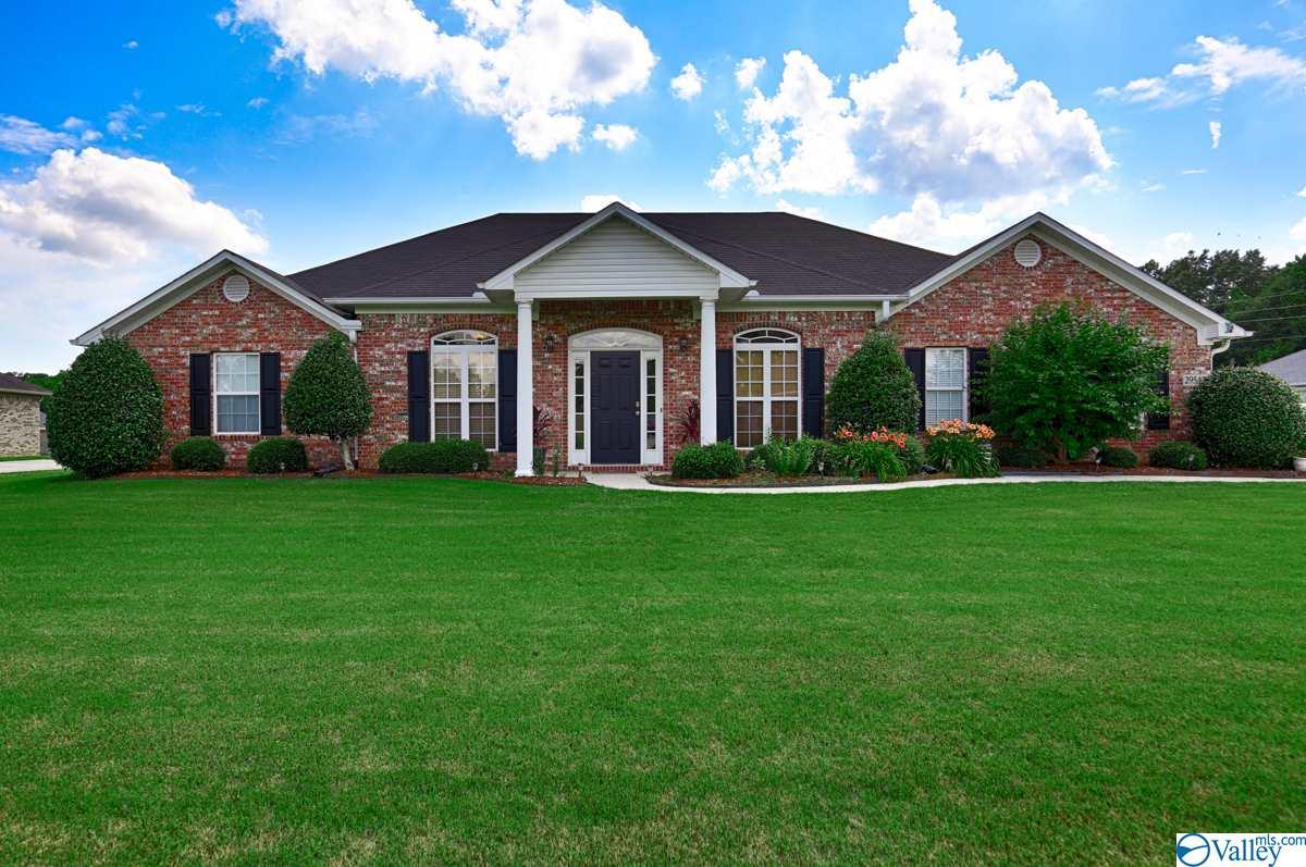 29542 Winterberry Drive - Photo 1