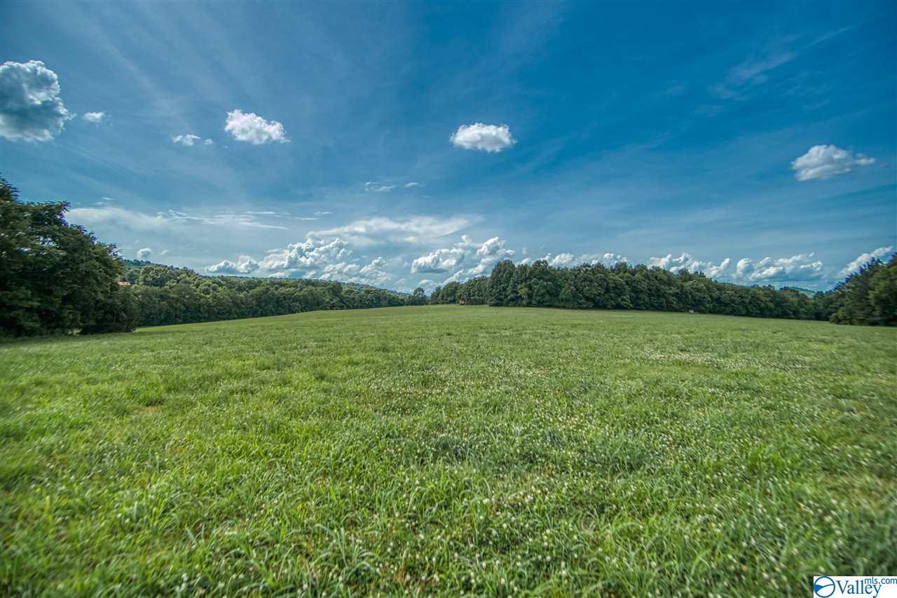 243 Delina Boonshill Road - Photo 1